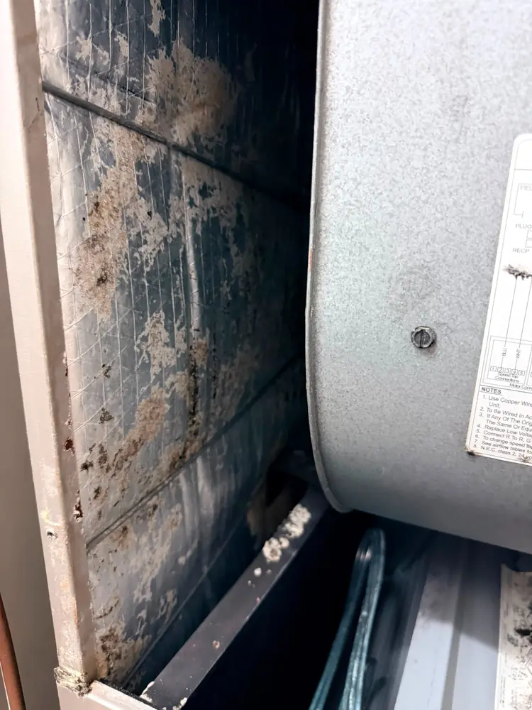 Blower Housing Cleaning before service