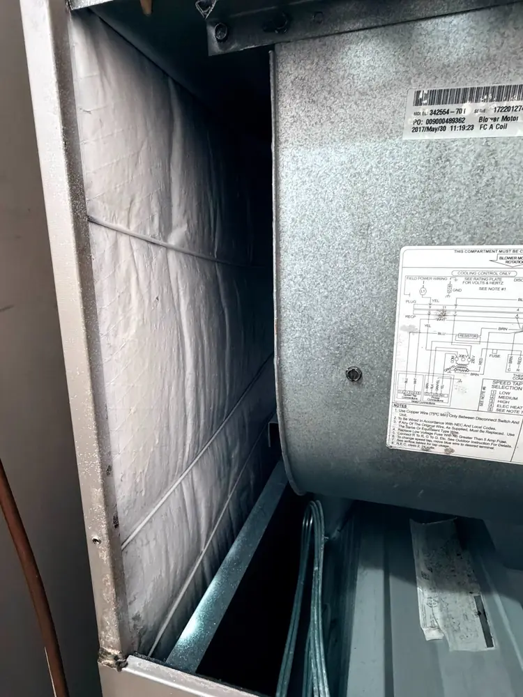 Blower Housing Cleaning after service