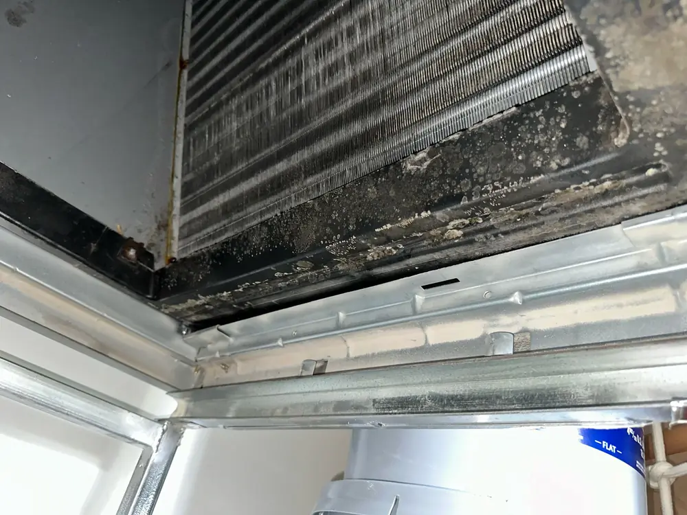 Evaporator Coil Area before service